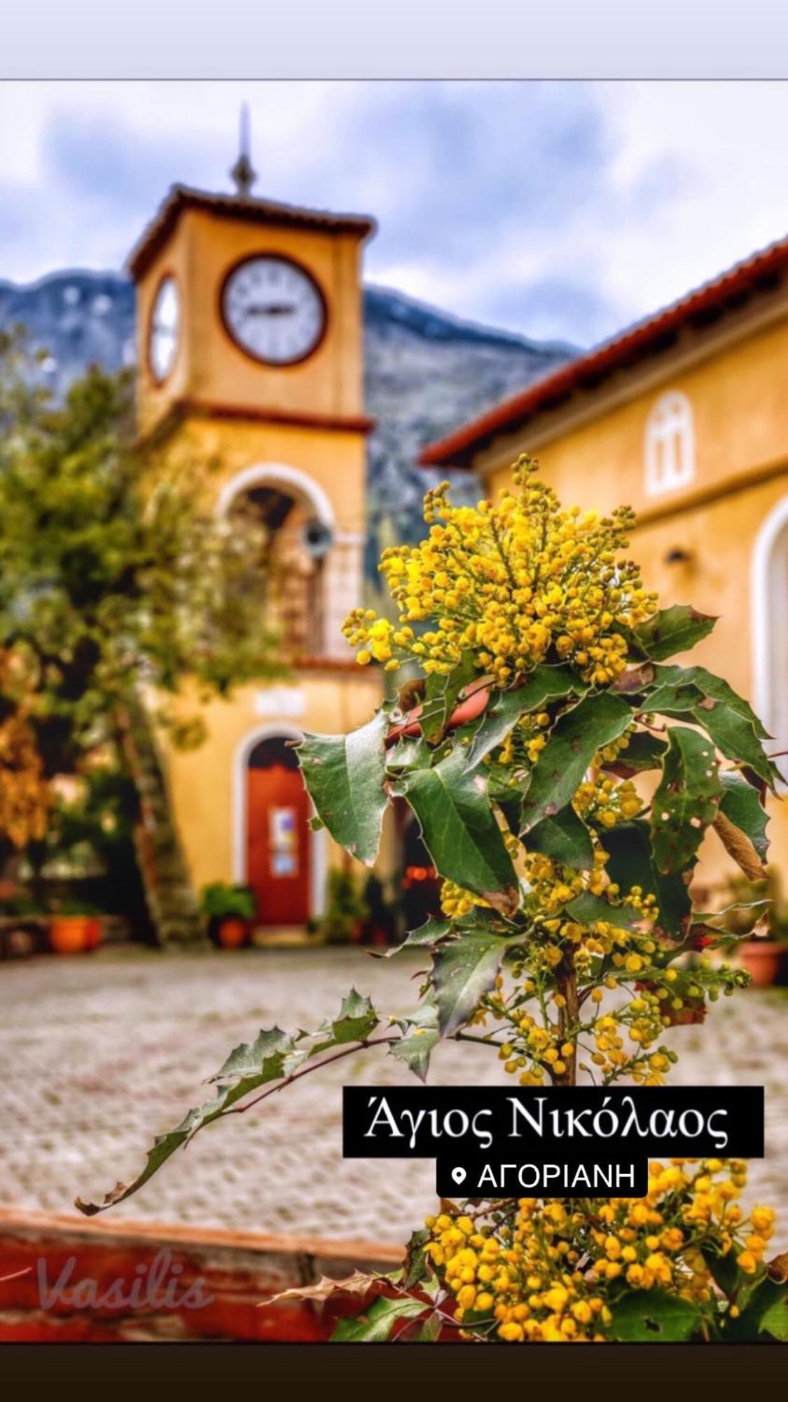 Asimina Guesthouse, Eptalofos Parnassos Eptálofos Exterior foto