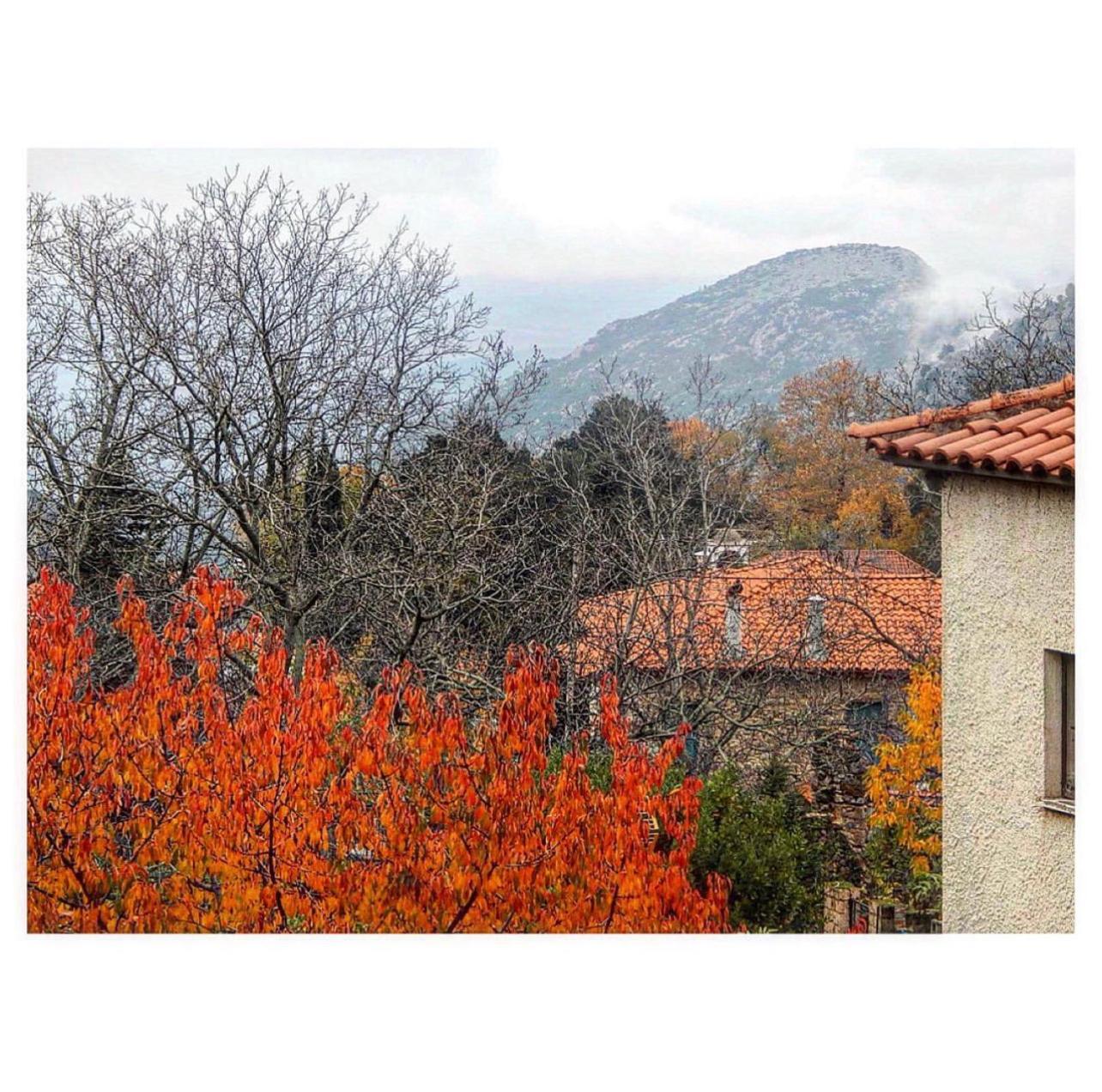 Asimina Guesthouse, Eptalofos Parnassos Eptálofos Exterior foto